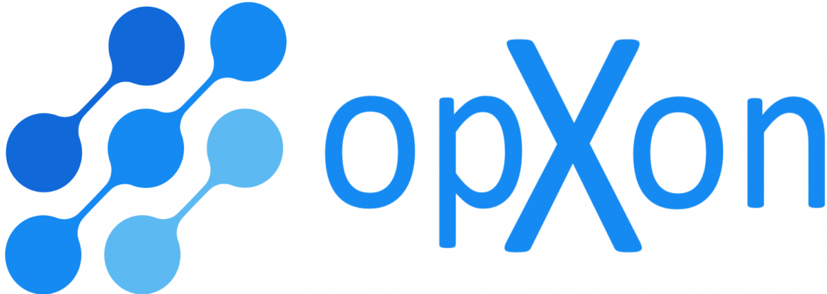 Logo Transparent quer opxon only